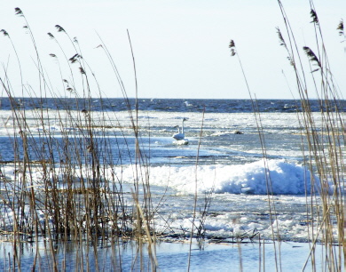 Stettiner Haff - Erholung pur